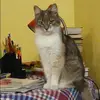 Отзыв от Клавдия Яшина